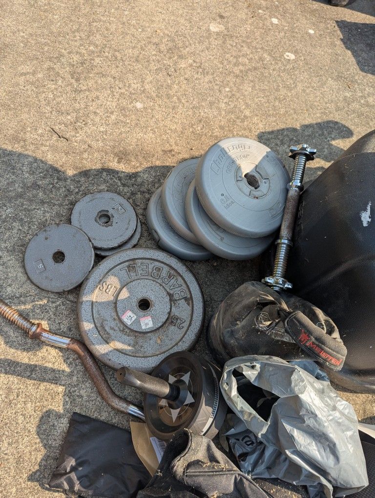 Weights And Bars