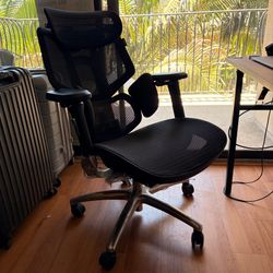 Ergonomics Chair Office Gaming