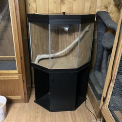 Nice Corner Reptile Tank With Stand 