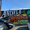 ANDFLO MOTORS