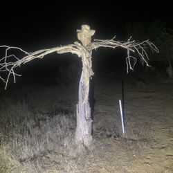 Halloween Decoration. Wicked Scarecrow