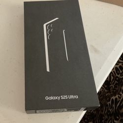 Samsung Galaxy S25 Ultra 