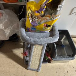 Cat Litter, Cat Tree, And Cat Food