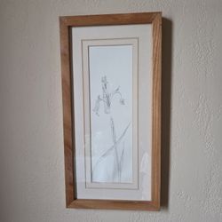 Hand-Drawn Iris Flower Pencil Sketch in Light Wood Frame (16" x 8")