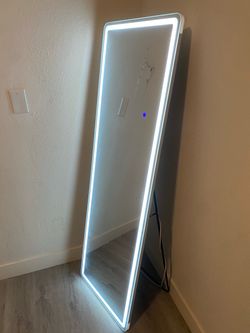 LED Stand Mirror