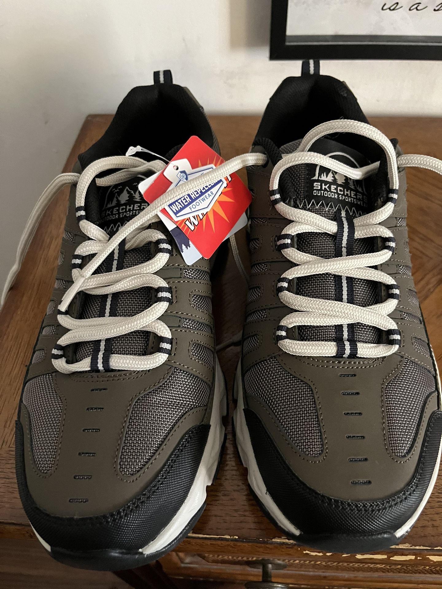 Brand New Skechers shoes