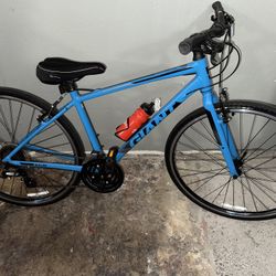 GIANT BIKE