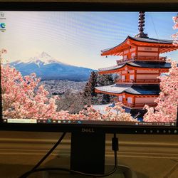 Dell 2005FWP 1680x1050 Resolution 20” Widescreen LCD Computer Monitor