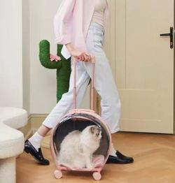Nice pink pet carrier