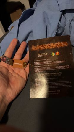 Wasteland 2 day ga