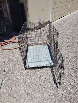 dog kennel