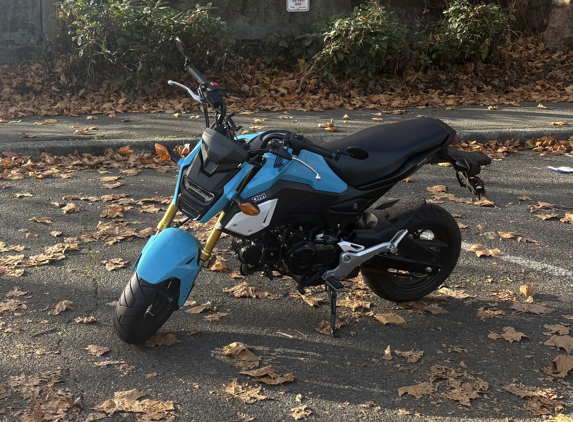 2020 Honda Grom