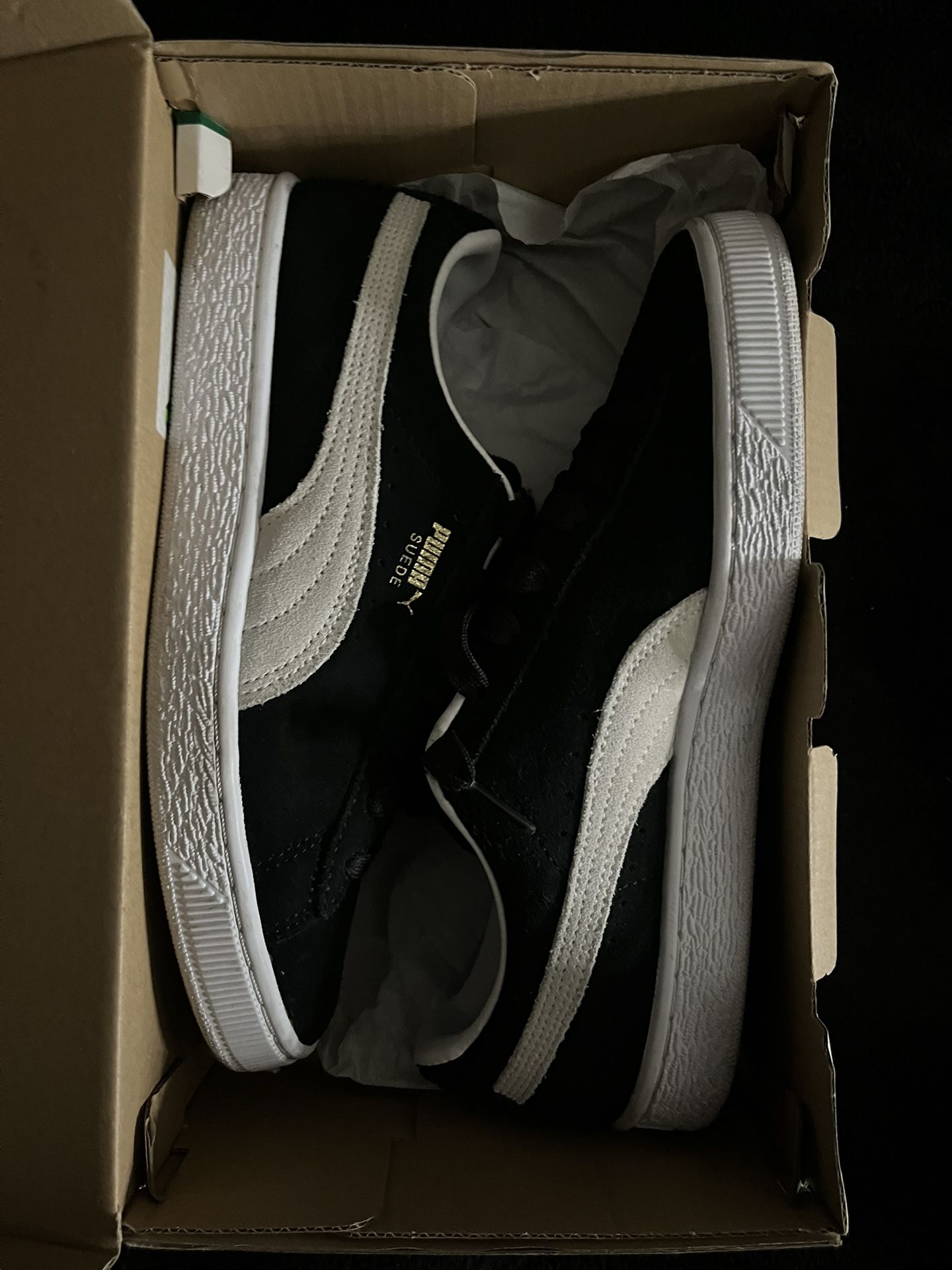 Pumas 6y