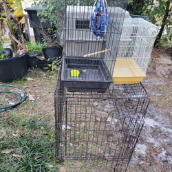 2 Bird Cage And 2 Dog Cages 