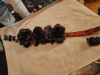 Pet Collar