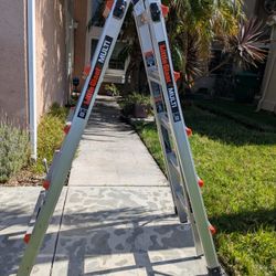 Little Giant Ladder