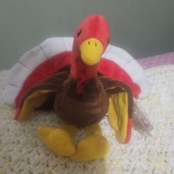 Gobbles The Turkey 