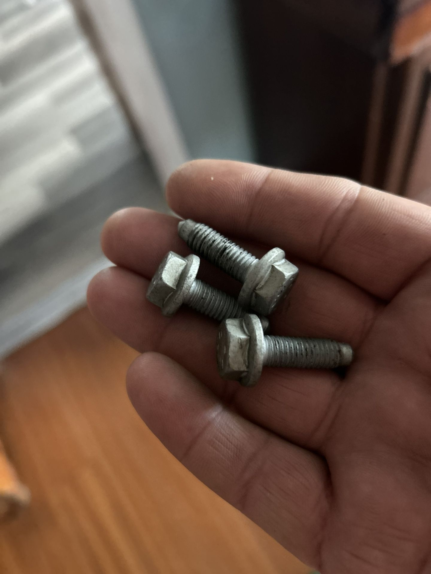 Authentic VW Bolts