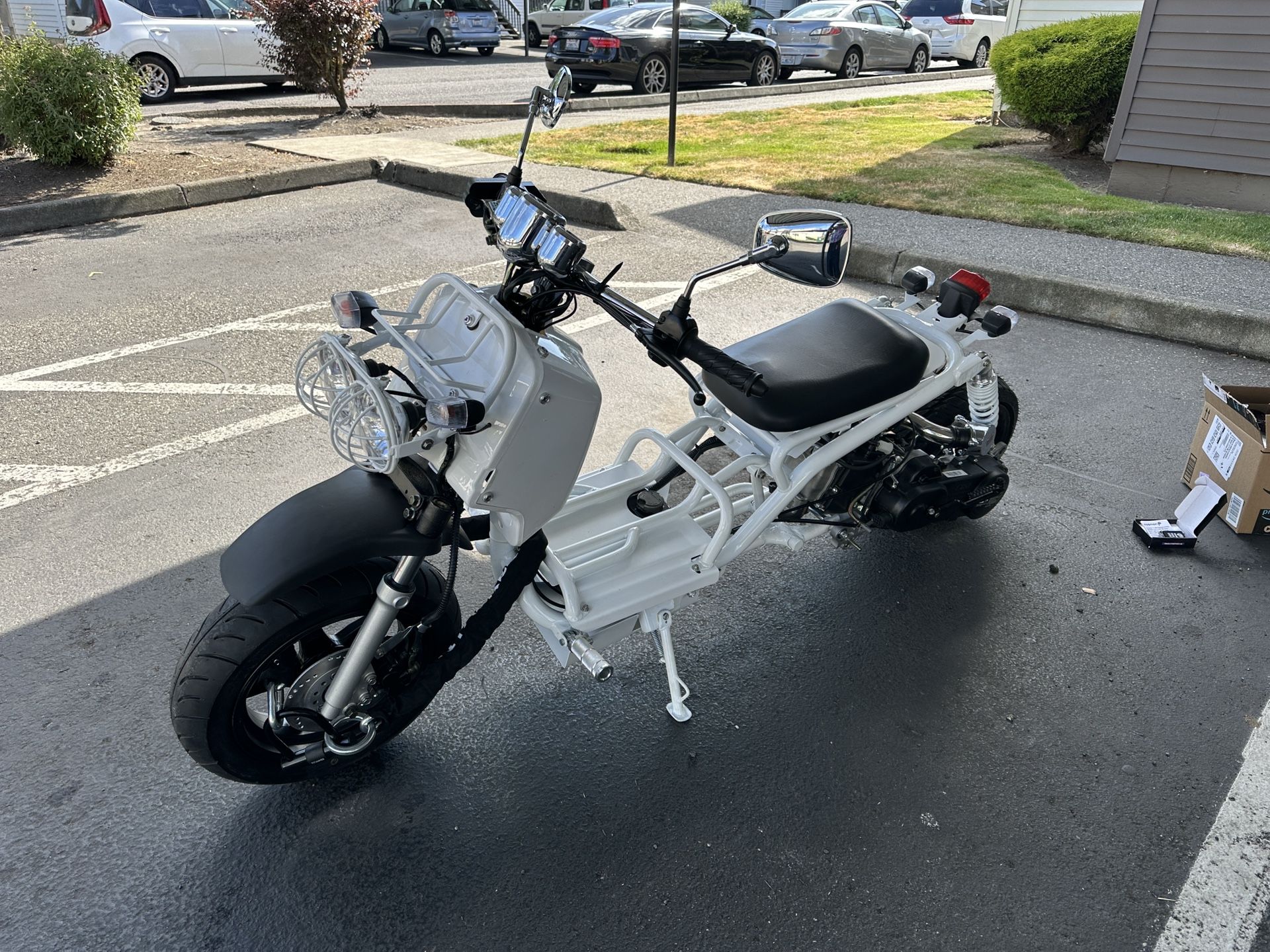 50cc Icebear Maddog