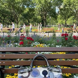 Coach Madison Graphic Op Art Sateen Wristlet