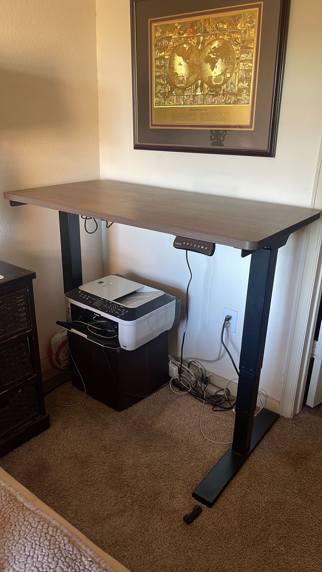 Flexispot Standing Desk