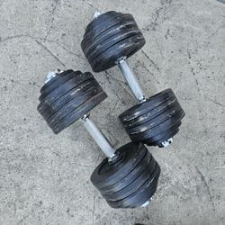 Weights And Bench 