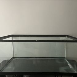 Aquatic Tank 