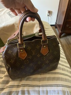 LV Bag 