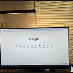 HP Monitor