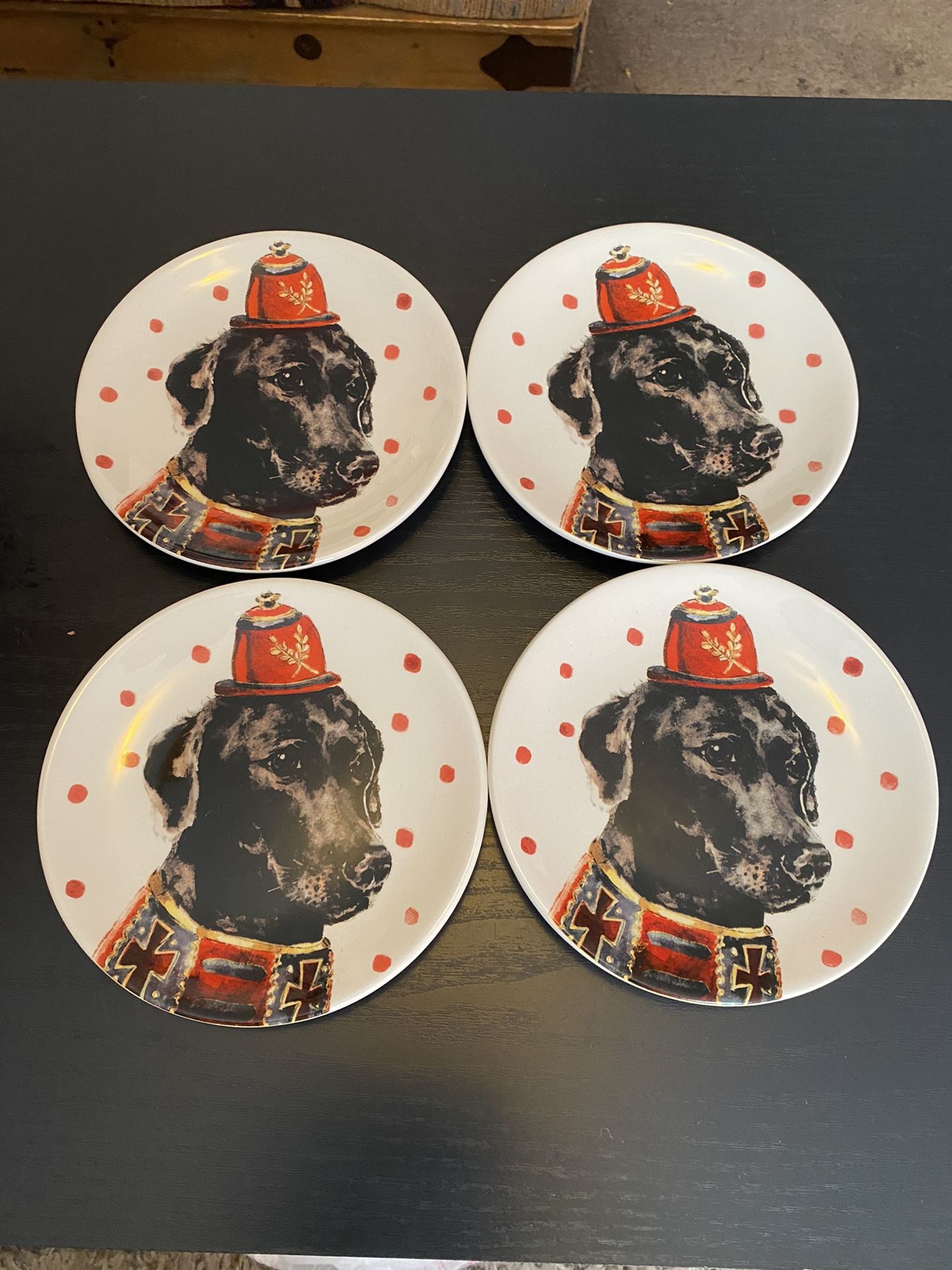 Labrador retriever Plates