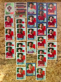 FIFA World Cup Panini Stickers