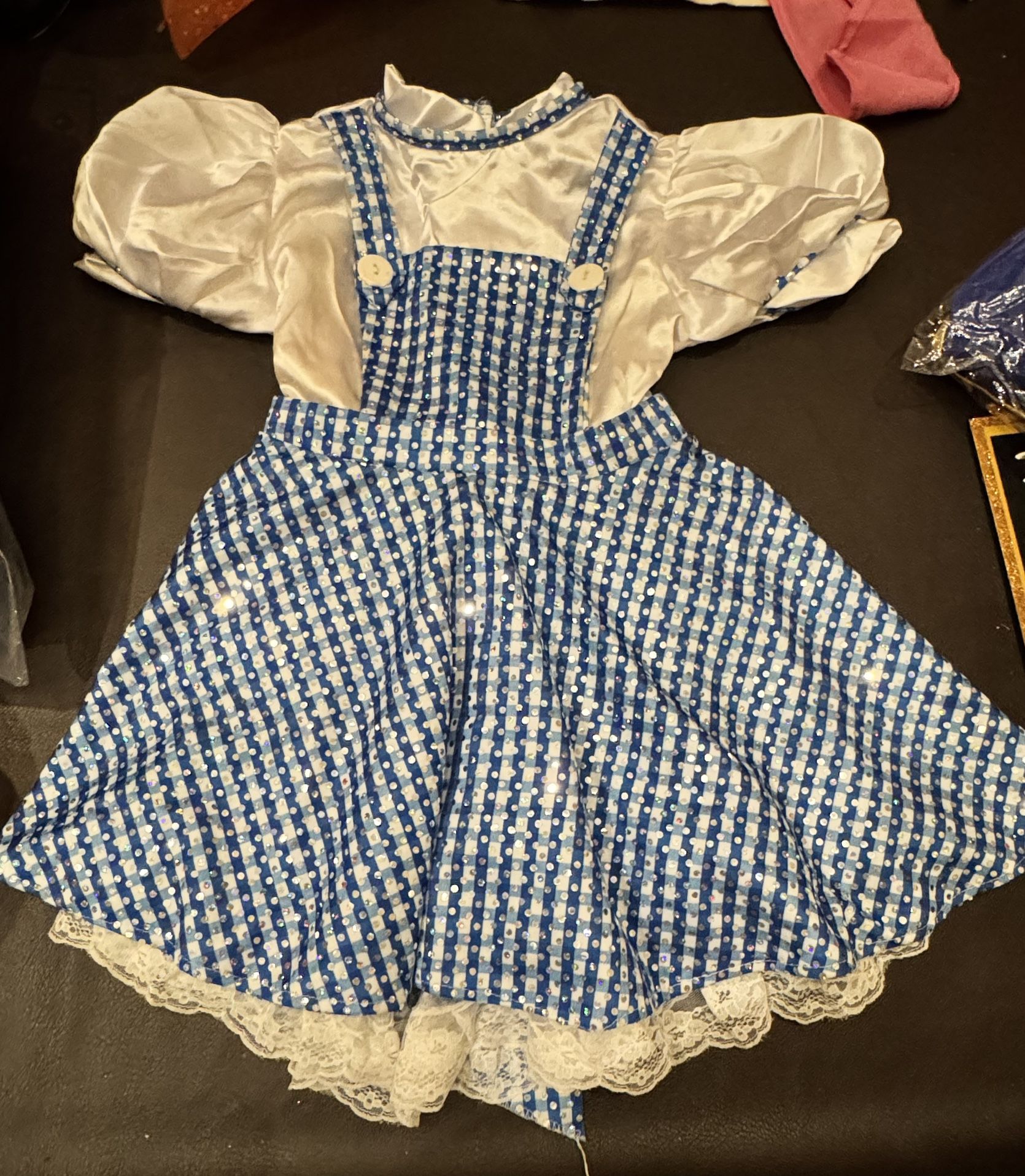 Girls small Dorothy Dress Costume