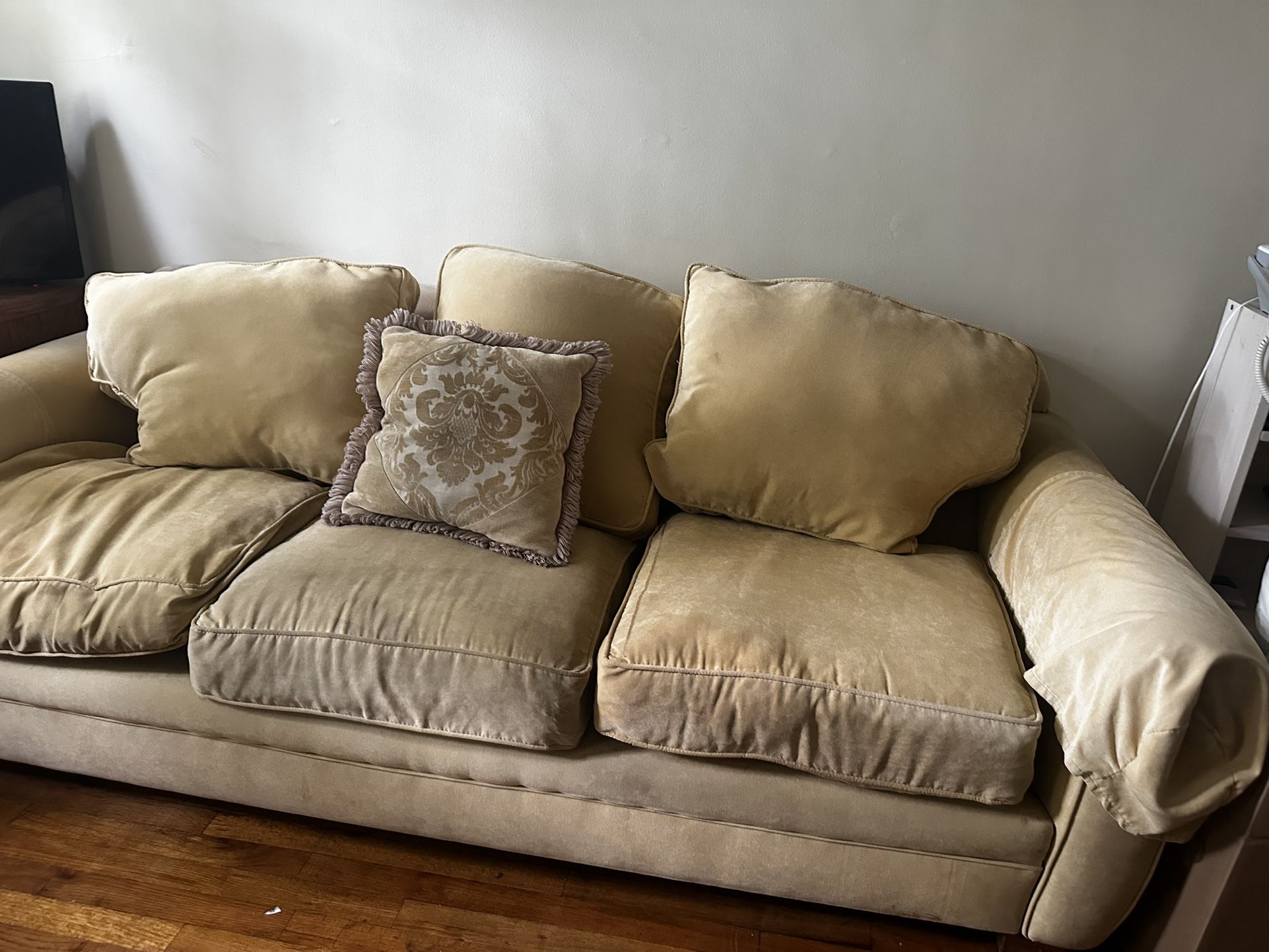 Couch Velvet Needs TLC