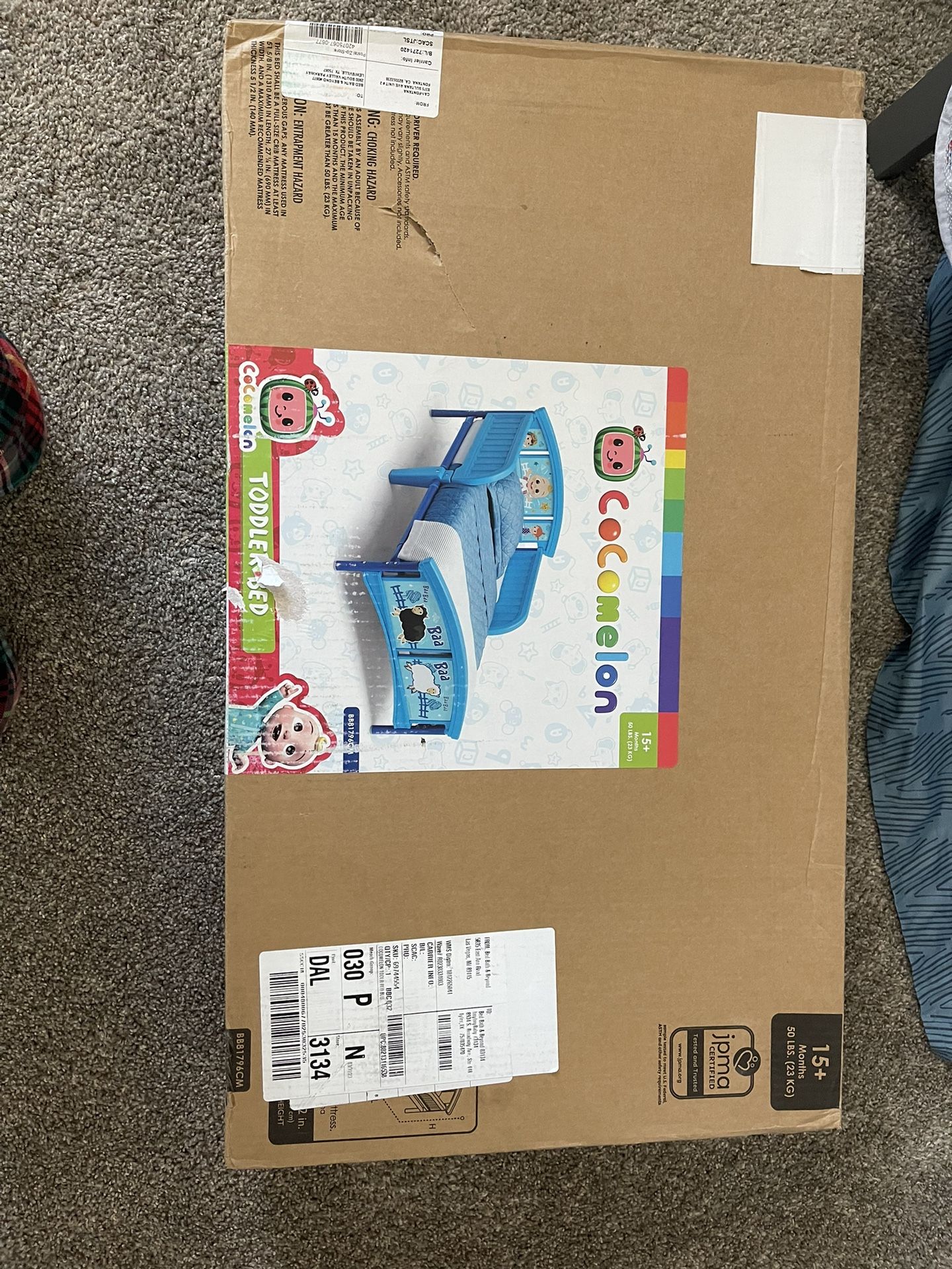 Cocomelon Toddler bed