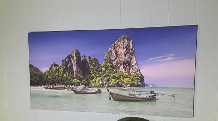 Large Canvas Print