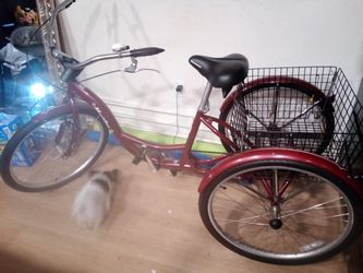 Schwinn Meridian Bike