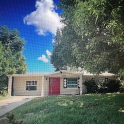 Flips In Pasco And All Over Florida 