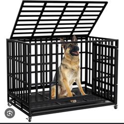 Cage For Sell