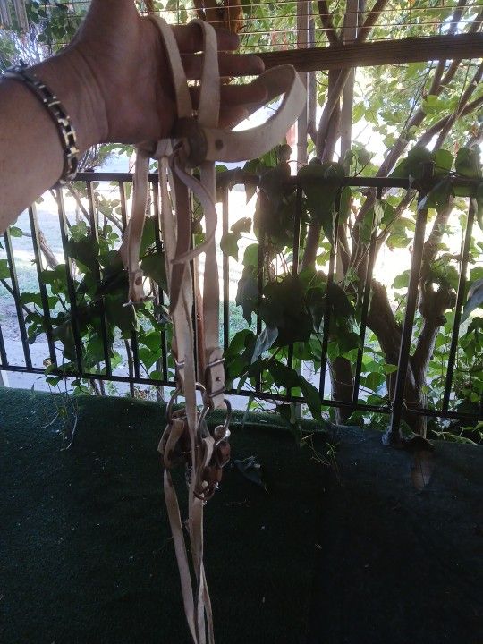 Bridle