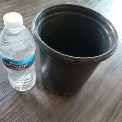 Half Gallon Pots 40 Count For 10$ Only