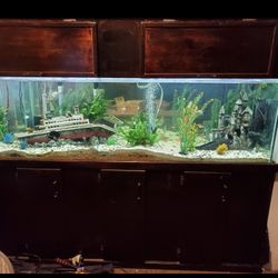 125 Gal Tank With Stand And Canopy 