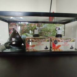 20 Gal Reptile/Bearded Dragon Tank