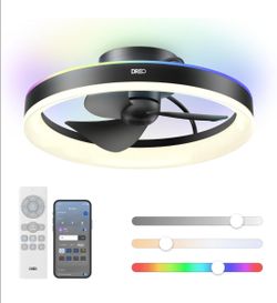 Smart ceiling fan w/ alexa- ($150)