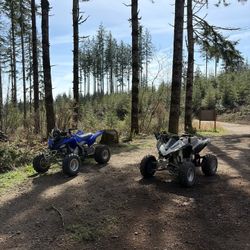 Yamaha Raptor 700 & Kawasaki KFX450R