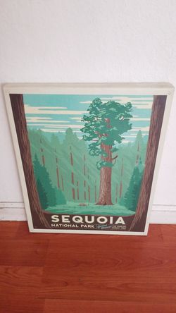 Sequoia National Forest Painting