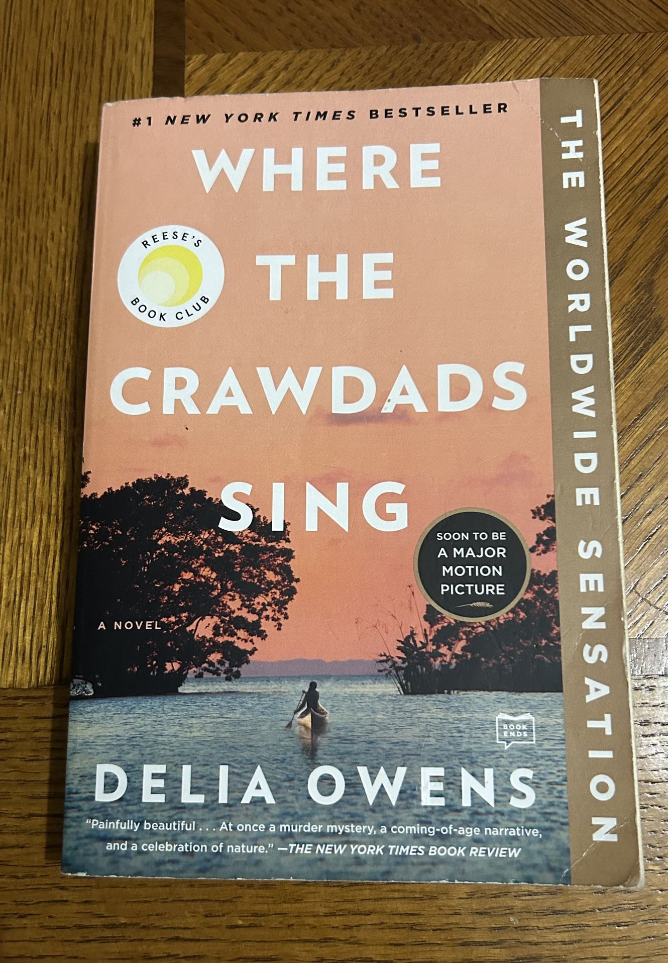 Where the Crawdads Sing by Delia Owens
