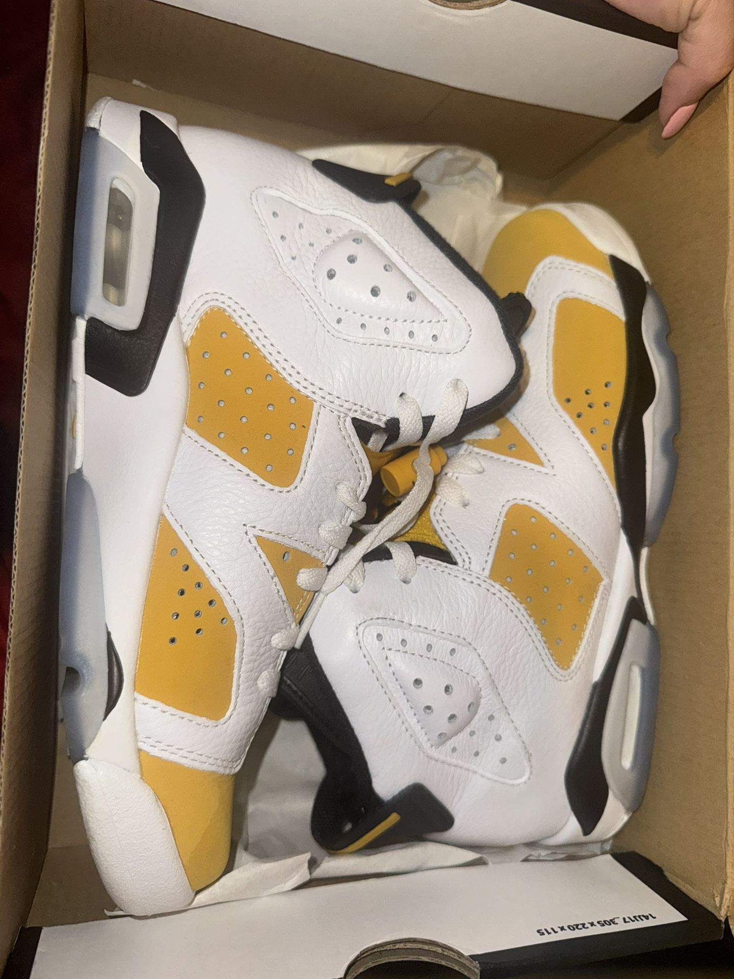 Jordan Retro 6