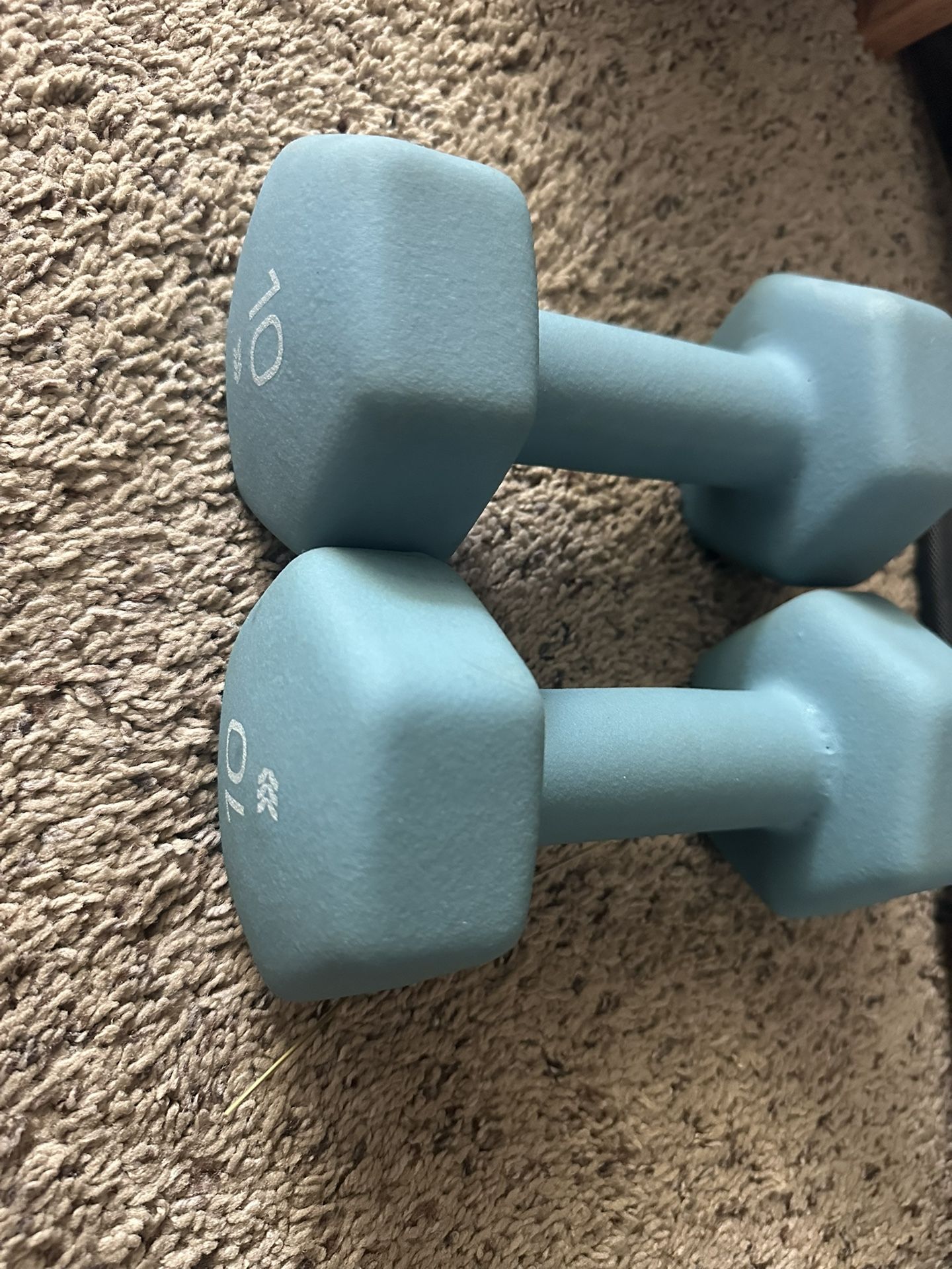 10lb Dumbbells