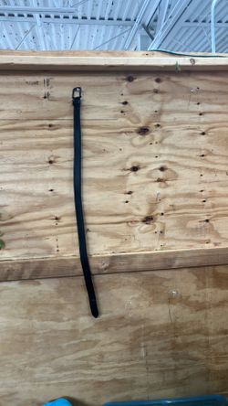 Belt