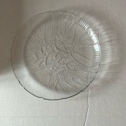 Glass Plate